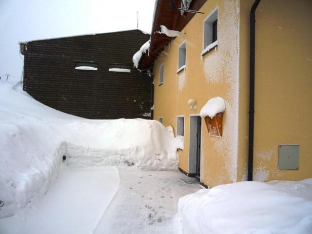 Apartment Cestar *